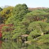 Tokyo_Rikugien_Park_20